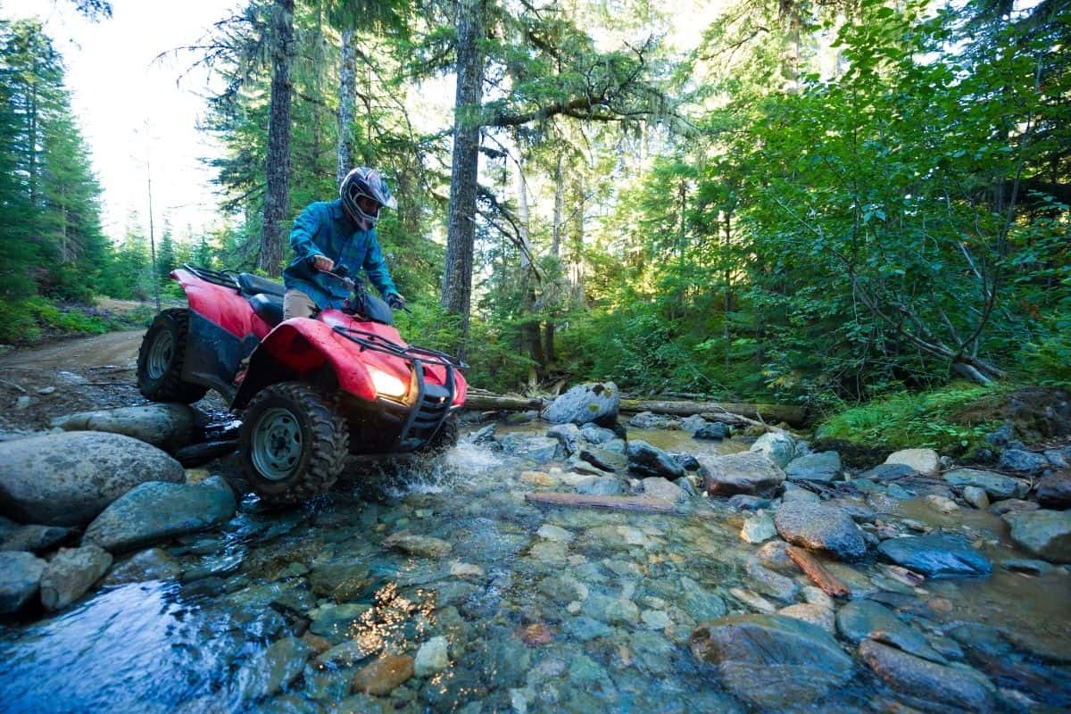 ATV Tour in Whitefish MT