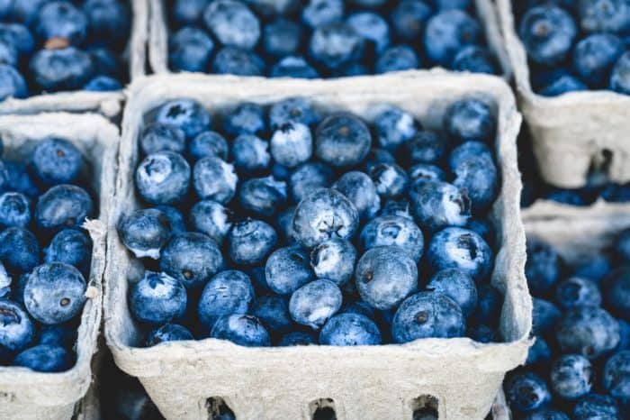 Cardboard Containers of Blueberries