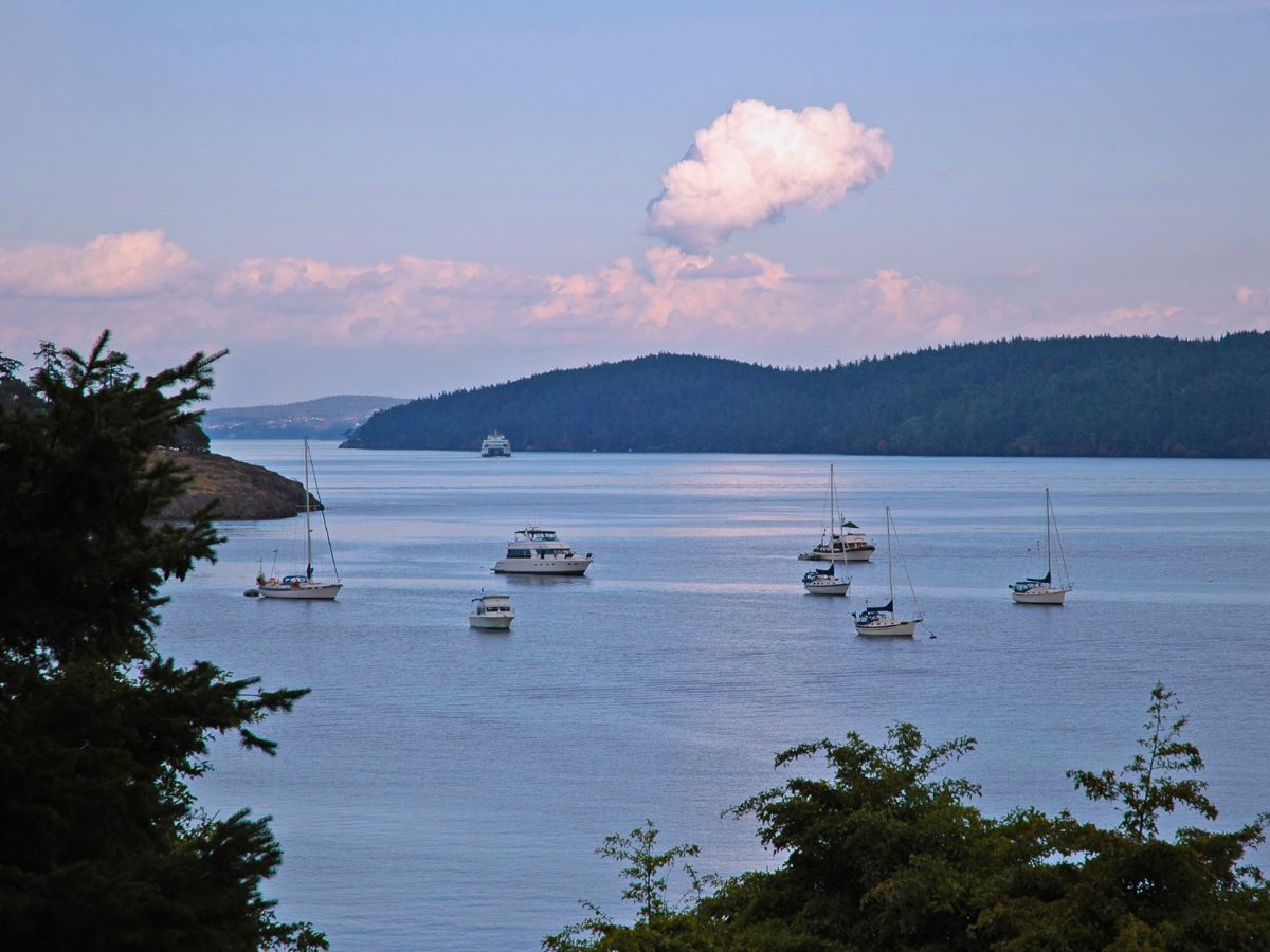 A scenic view of a calm bay with multiple sailboats and motorboats, surrounded by tree-lined shores and a distant ferryboat under a cloud-dotted sky.