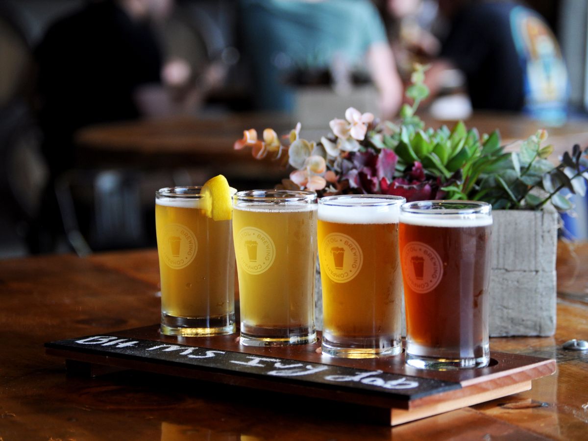 Four beer samples in glasses on a wooden board with chalk writing, surrounded by a small potted plant.