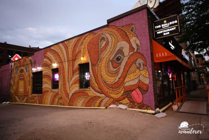Both bulldogs in these downtown Minneapolis murals have blue eyes