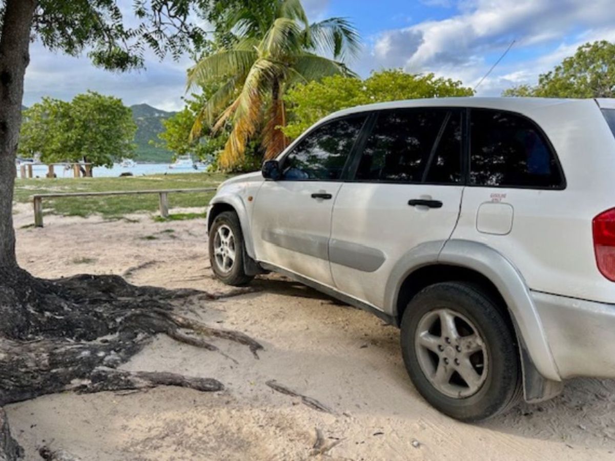 A white SUV is parked on sandy ground beneath trees near a beach, with a view of the sea and hills in the background.