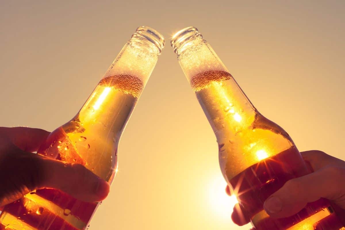 Two beer bottles clinking at sunset