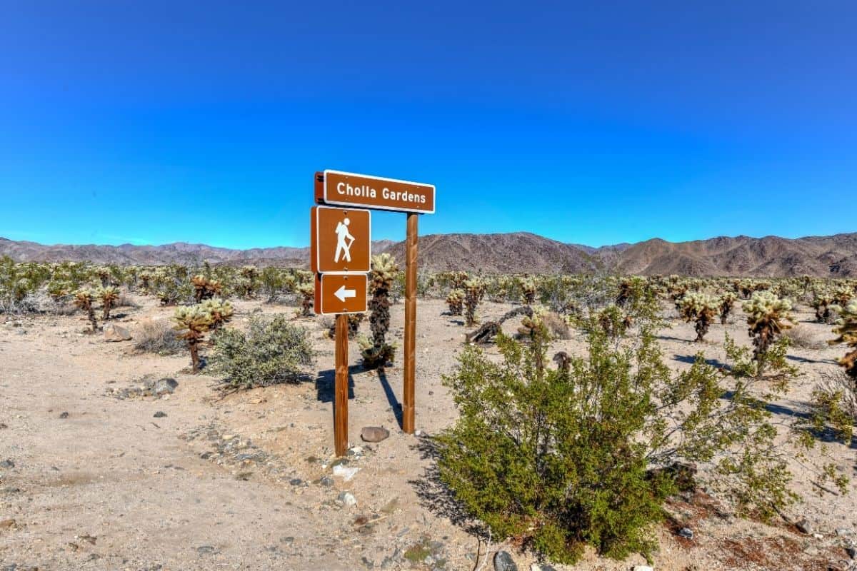 Cholla Garden Hiking Trail sign at Joshua Tree in California