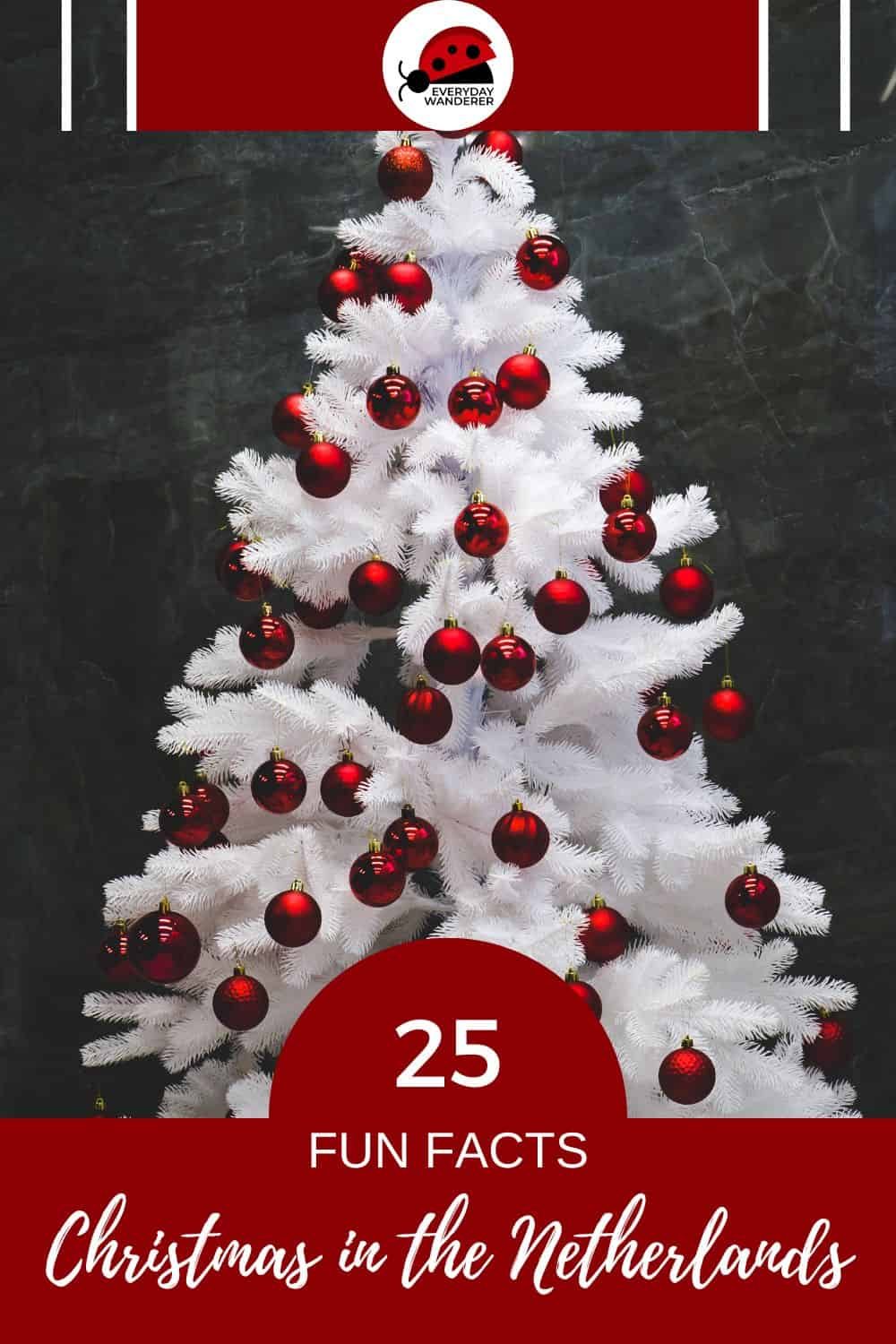 Christmastime in the NL - Pin 4 - JPG