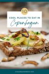Close-up of an open-faced sandwich with toppings, under a text overlay that reads "10 Cool Places to Eat in Copenhagen". The website "everydaywanderer.com" is mentioned at the bottom.