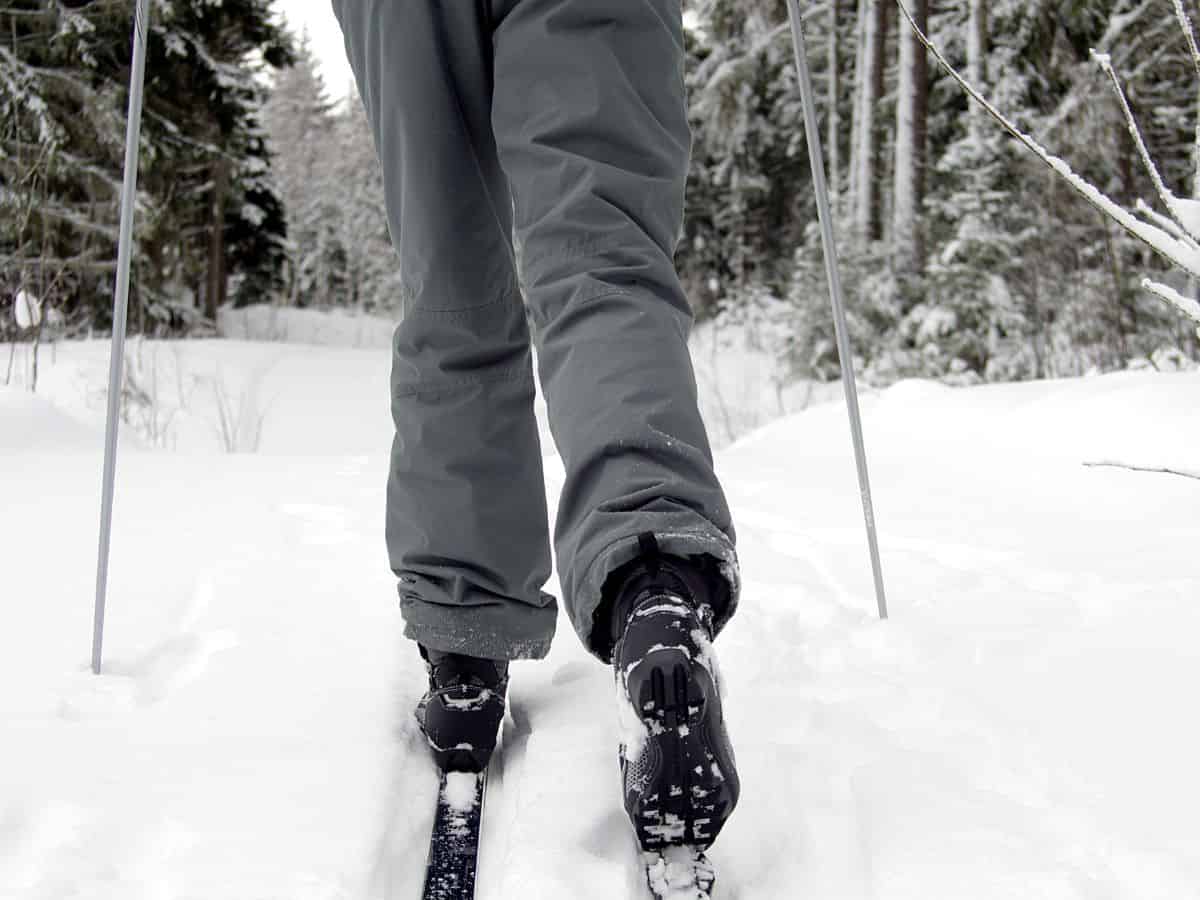 Cross-Country Skier Surrounded by Trees