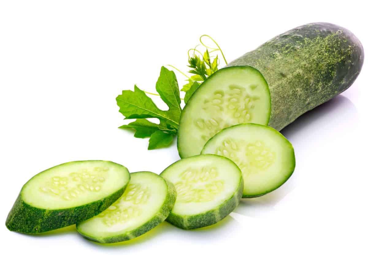 Cucumber Sliced into Discs