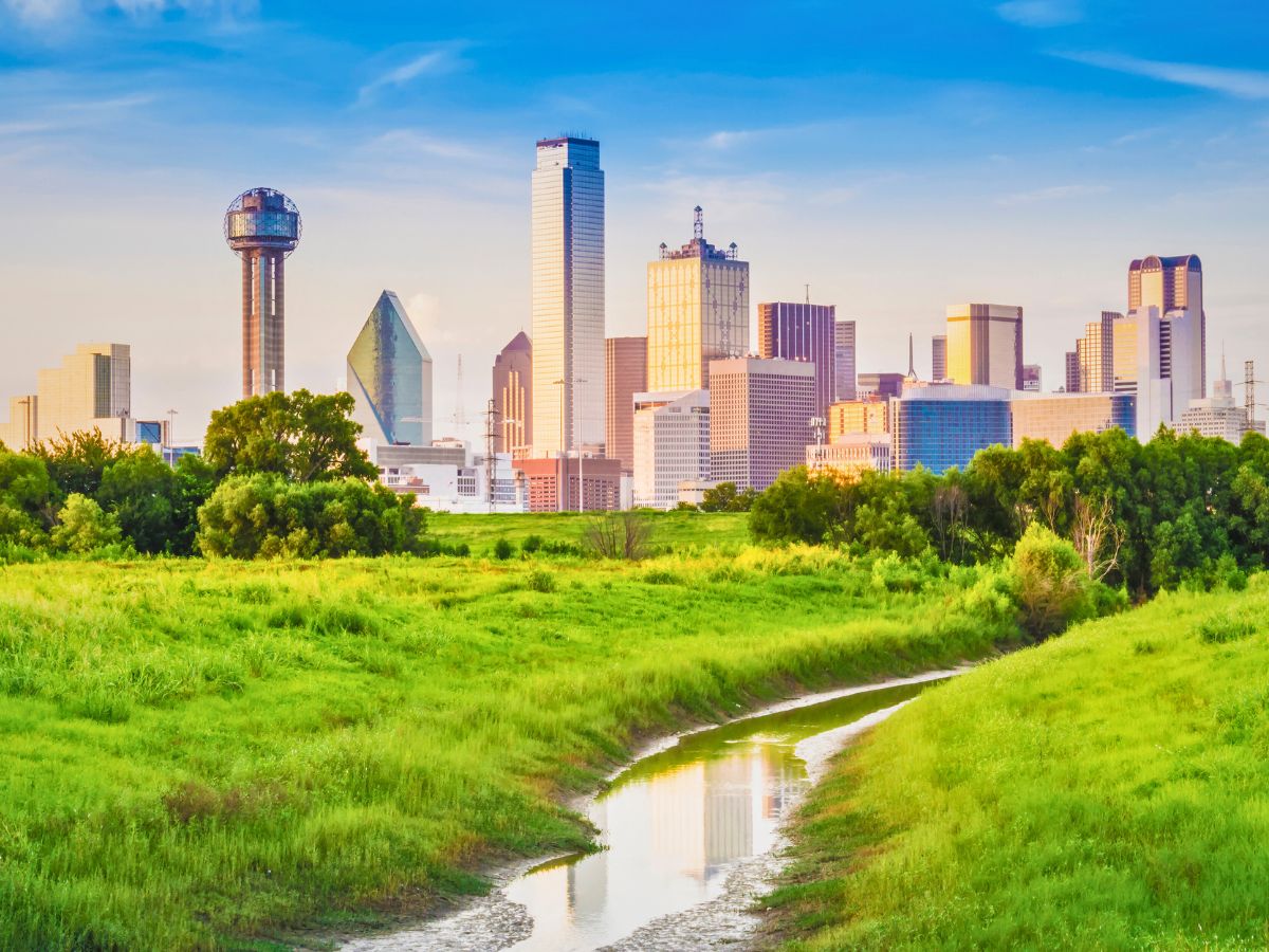 City skyline with various tall buildings in the background, green grassy field and a small stream in the foreground under a clear blue sky.
