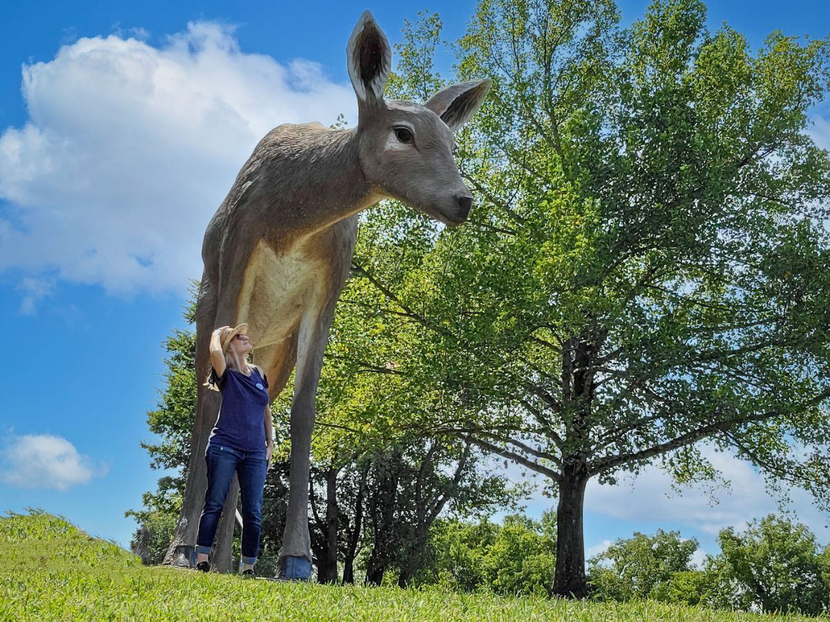 Sage Scott standing next to an oversized sculpture of a deer at Laumeier Sculpture Park​ in St. Louis.