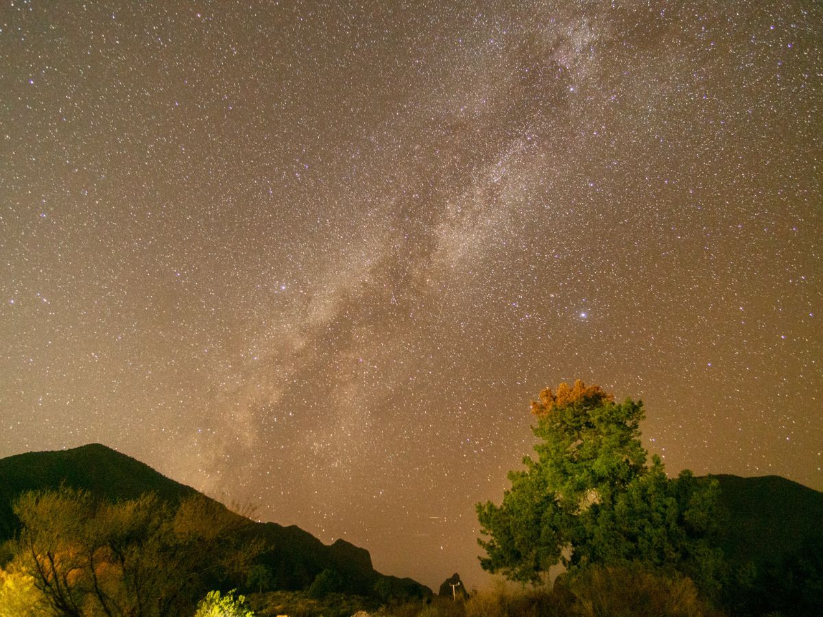 A starry night sky with the Milky Way galaxy visible above a landscape featuring mountains, trees, and shrubbery.