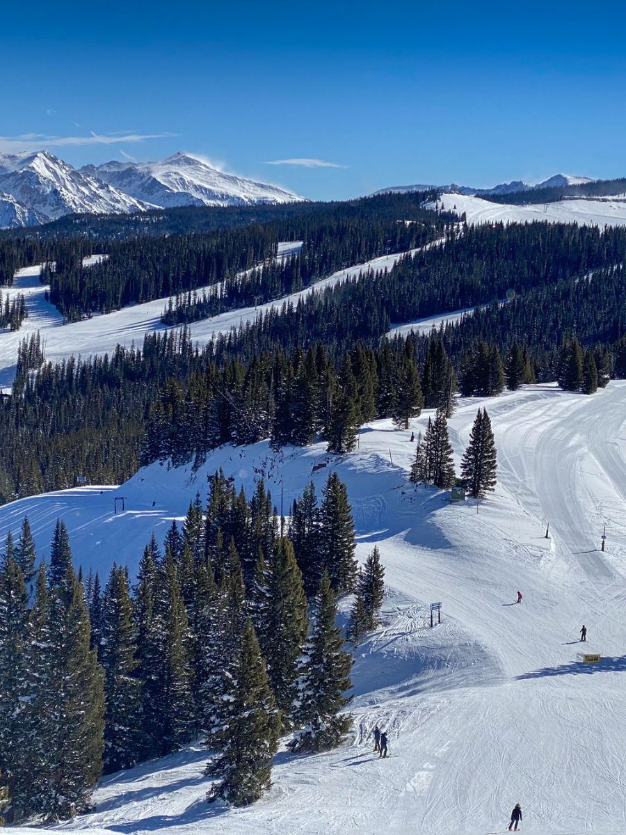 Skiers navigate down a snow-covered mountain with pine trees, blue skies, and distant mountain peaks in the background.