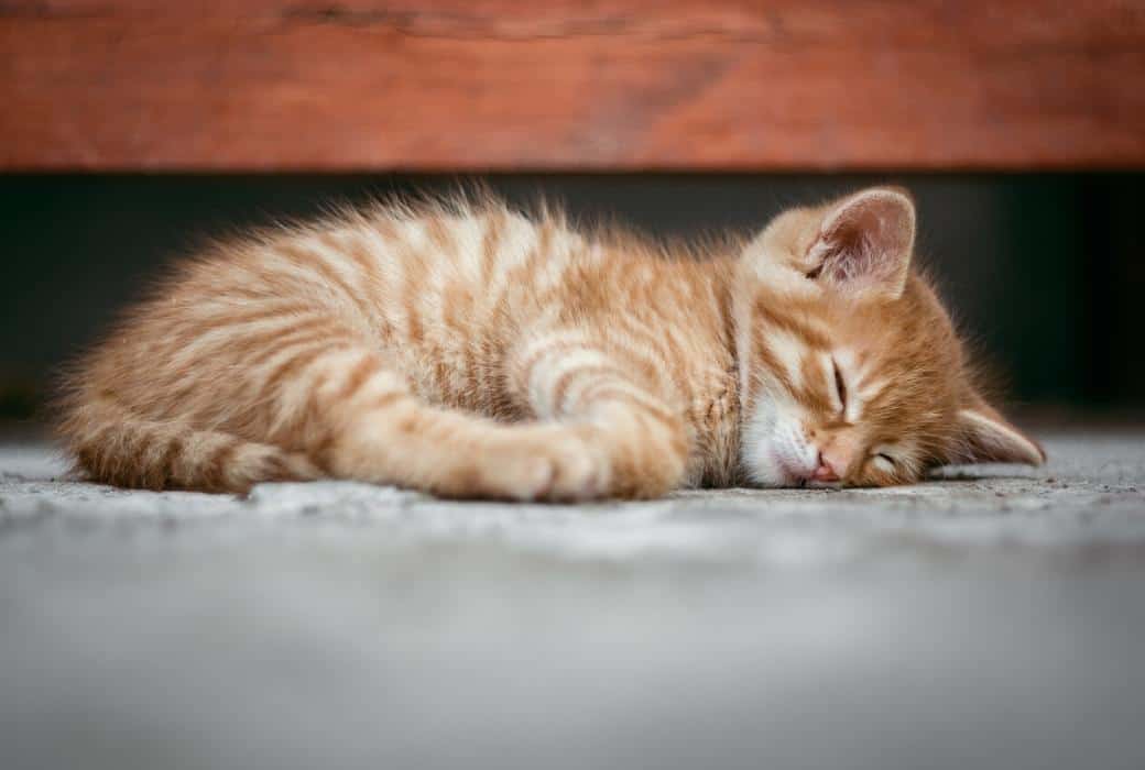 Do Higher Altitudes Make You Sleep More