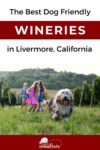 A group of children and a dog play in a vineyard with text reading, "The Best Dog Friendly Wineries in Livermore, California" in the background.