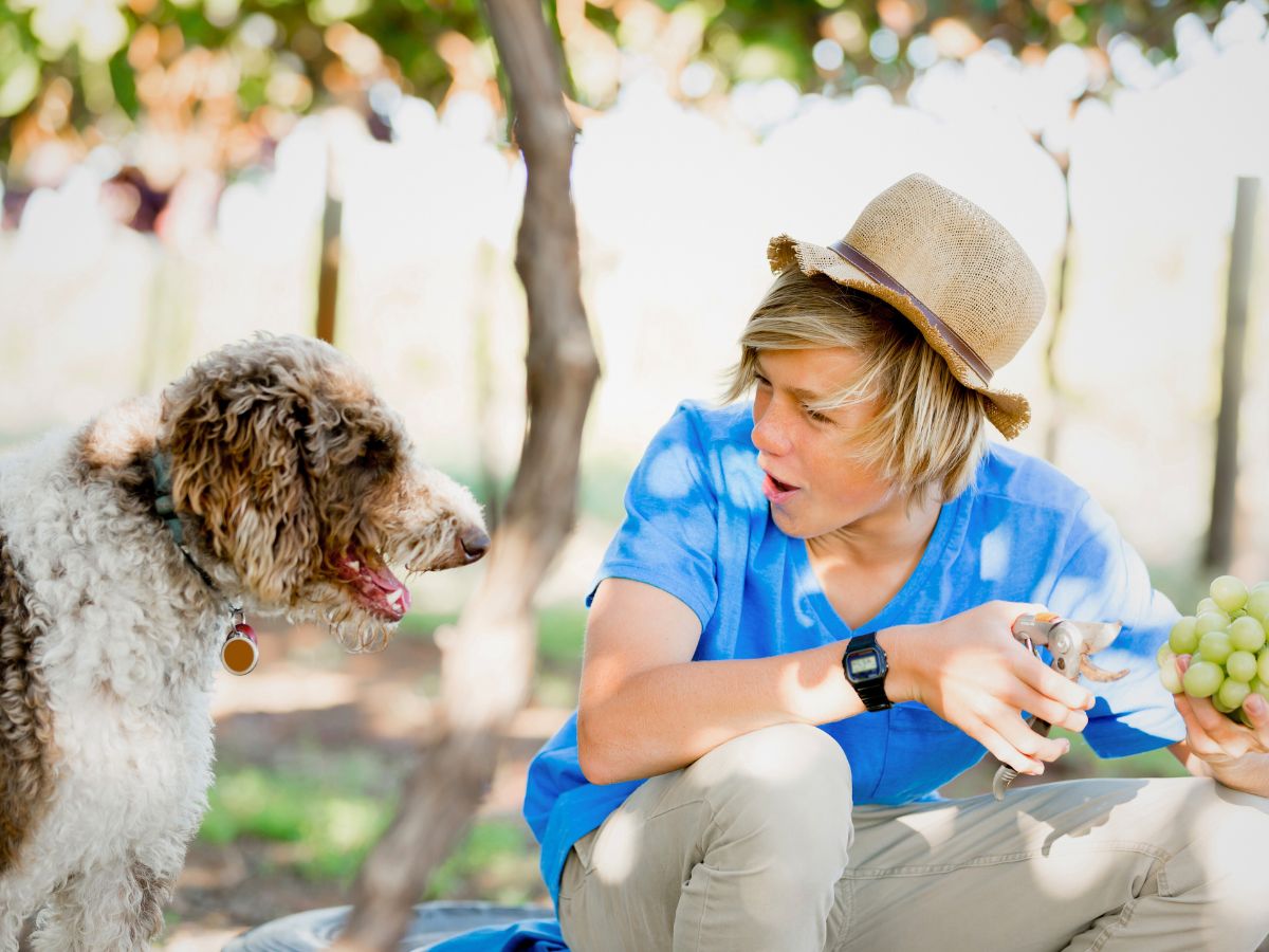 A person wearing a straw hat sits outdoors holding grapes, facing a curly-haired dog.