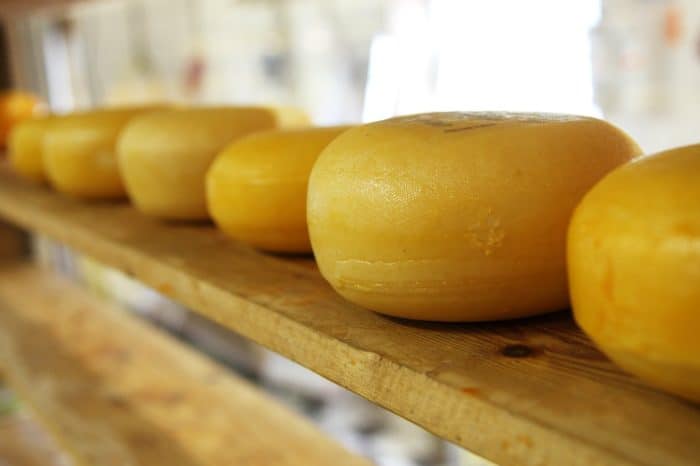 Tasty Dutch Treats You MUST Try in the Netherlands