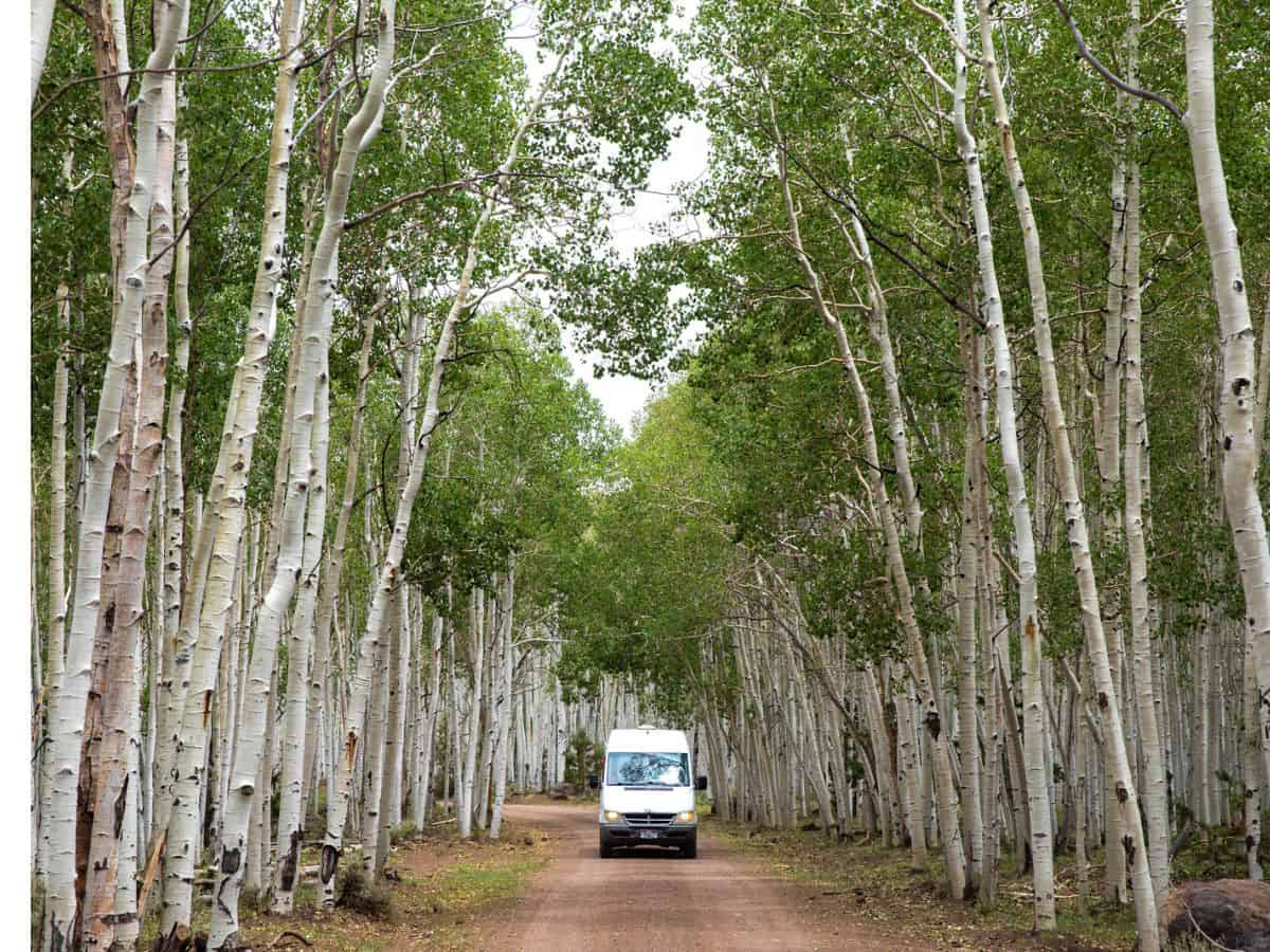 A van driving along the Fishlake Scenic Byway in Utah.