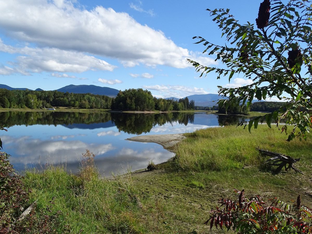 A serene lake scene with calm water reflecting clouds and trees, surrounded by green grass and foliage. A distant mountain range is visible under a clear blue sky.