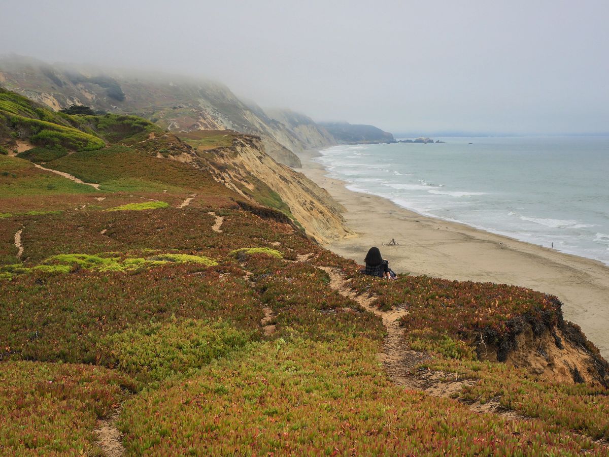 A person sits on a coastal cliff overlooking a foggy beach and ocean. The area is covered with green and brown vegetation, and there are paths leading down to the sandy shore.