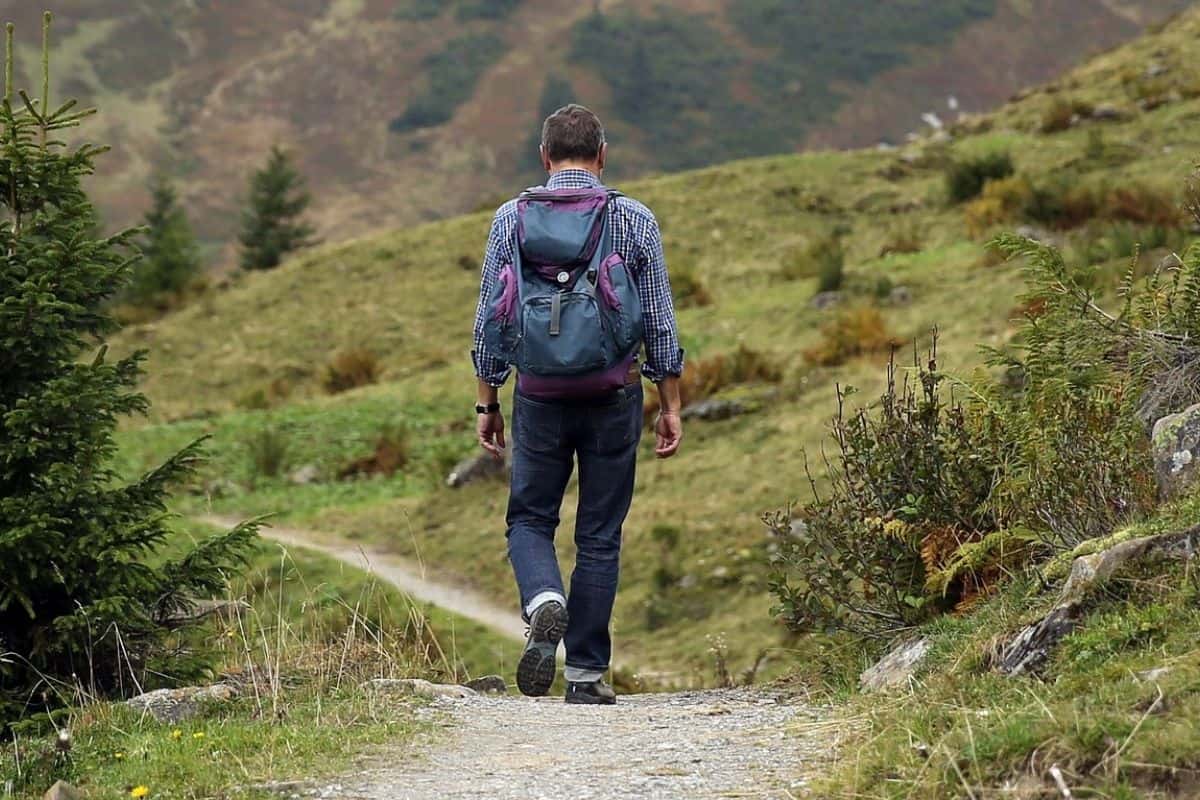 A man walking on a mountain path in summer