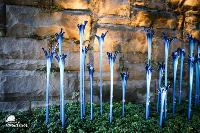 Be sure to see the Chihuly exhibit at night when the art is illuminated