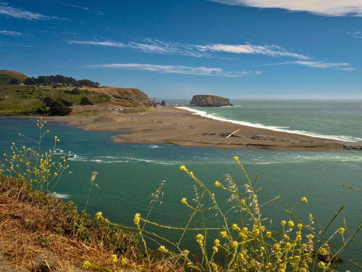 A coastal landscape featuring a sandy peninsula extending into the ocean with gentle waves, surrounded by greenery and wildflowers under a blue sky with few clouds.