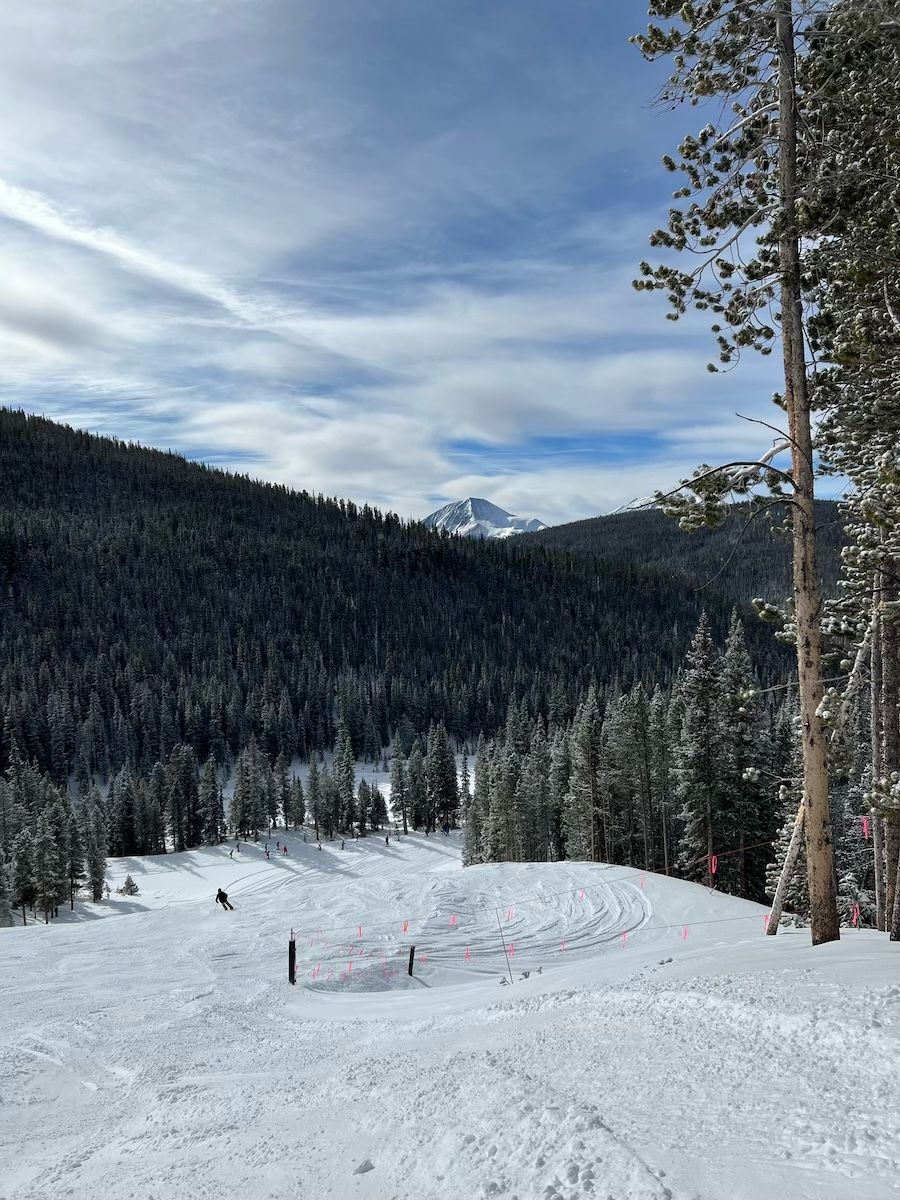 A skier descends a snowy slope surrounded by a dense forest of pine trees under a partly cloudy sky with a mountain peak in the background.