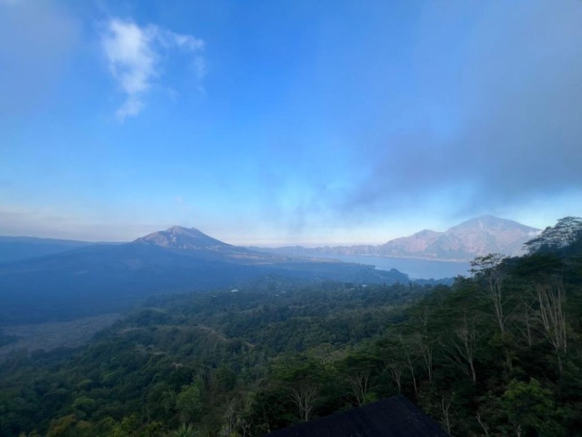 A scenic view of a lush green landscape with mountains in the background under a clear blue sky.