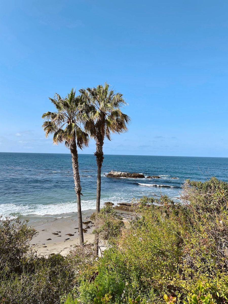 Two palm trees on a sandy beach with waves crashing, surrounded by greenery, against a clear blue sky.
