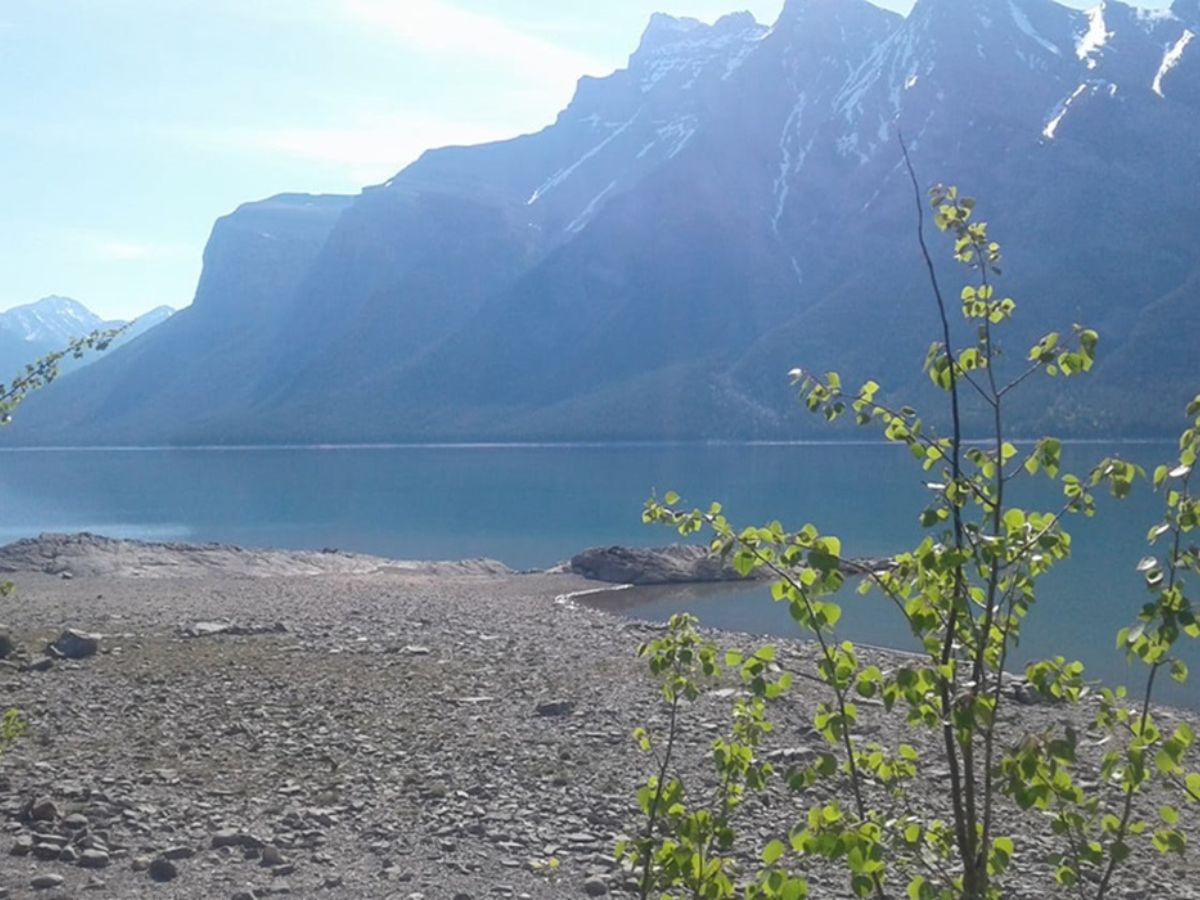 A calm lake bordered by rocky shores and green foliage with tall, snow-capped mountains in the background under a clear sky.
