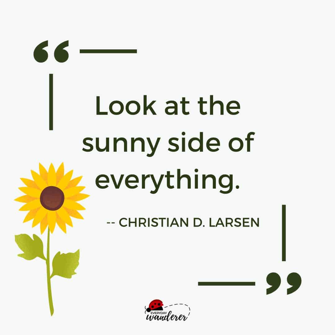 Look at the sunny side quote