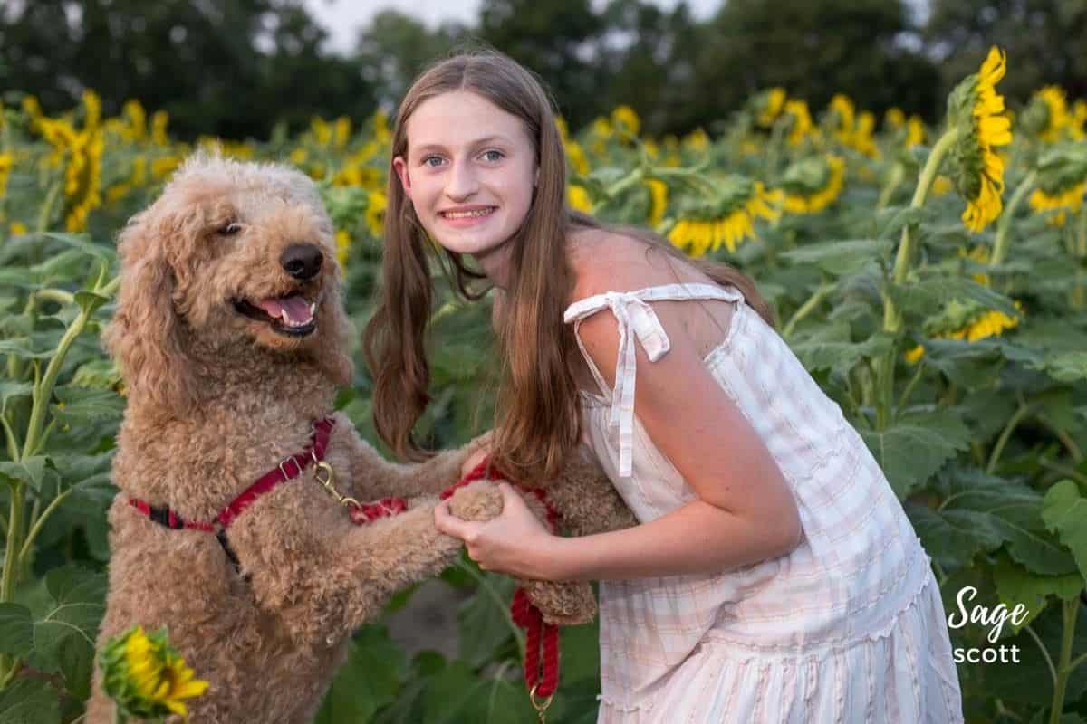 Louise and Hudson in Sunflower Field
