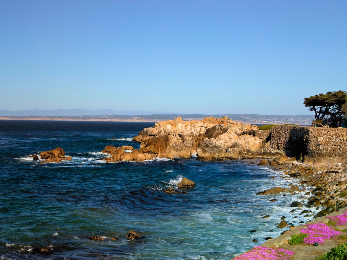 Rocky coastline with waves crashing against the shore, under a clear blue sky. A tree and purple flowers are on the right side.