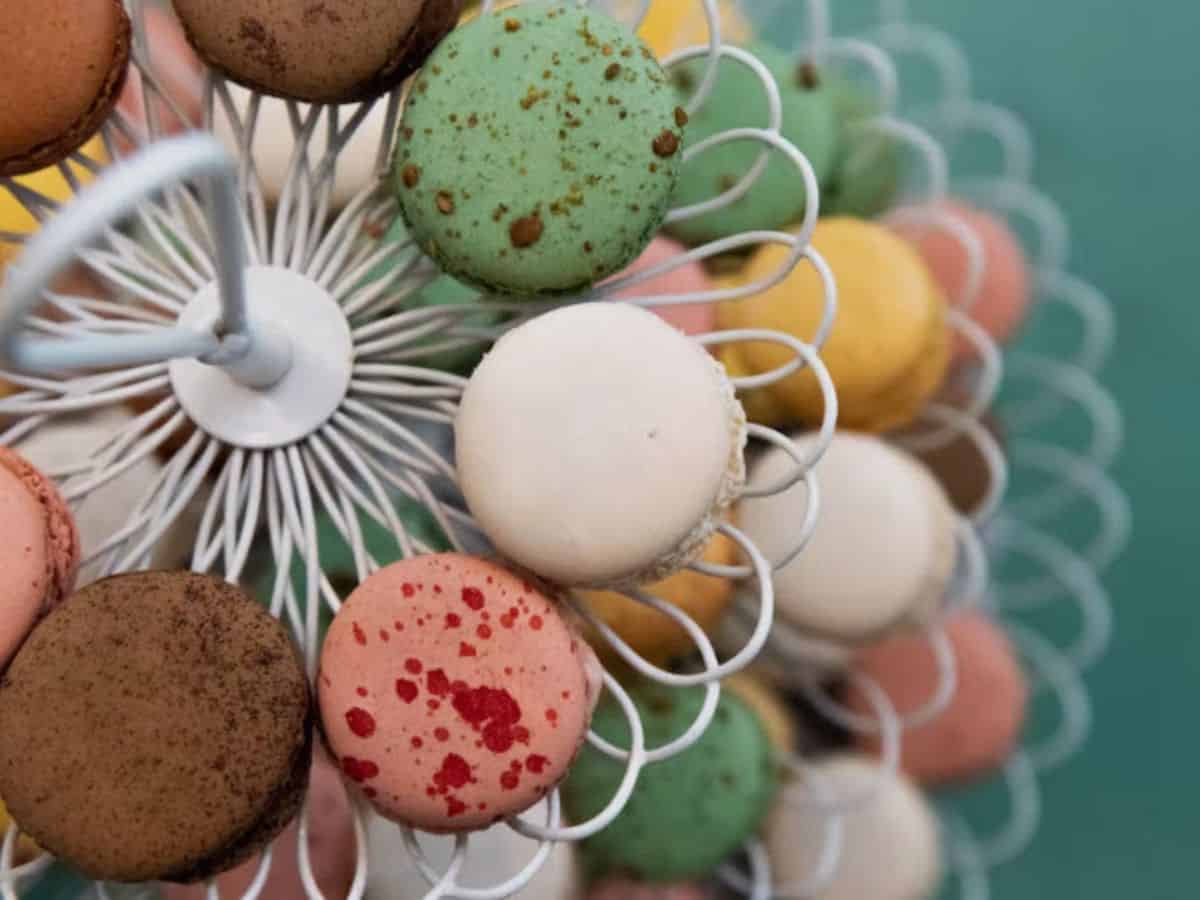 Macarons at Eva's Bakery