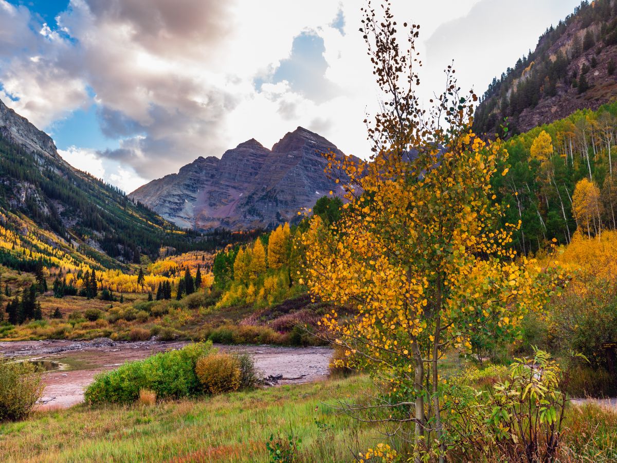 A landscape featuring a tree with yellow leaves in the foreground, a valley of trees with autumn foliage, and mountain peaks under a partially cloudy sky in the background.