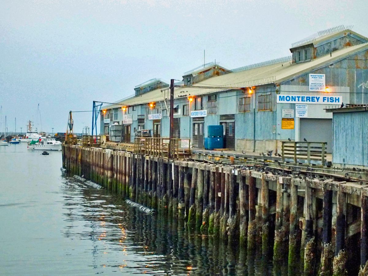 Rustic waterfront buildings labeled "Monterey Fish" line a weathered wooden pier with boats moored nearby on calm water.