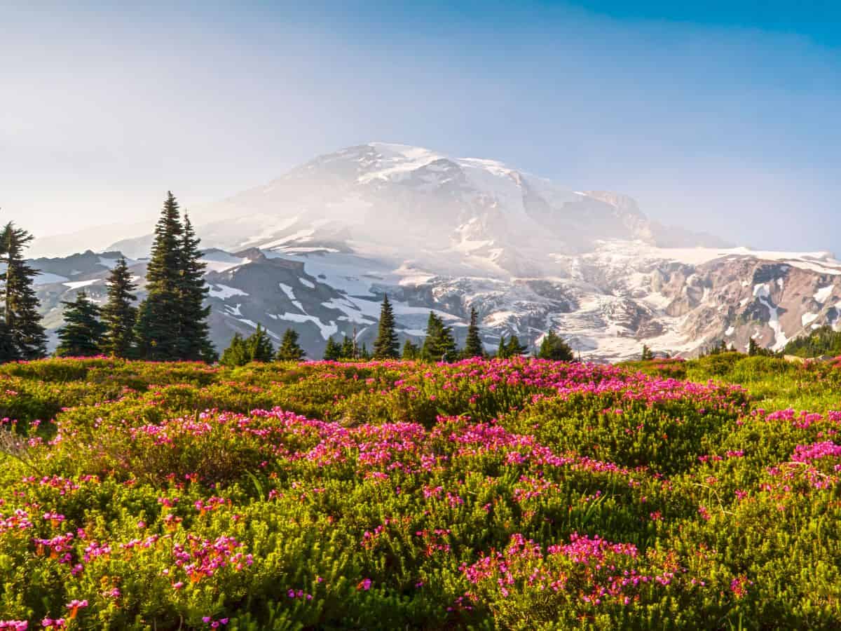 Mount Rainier