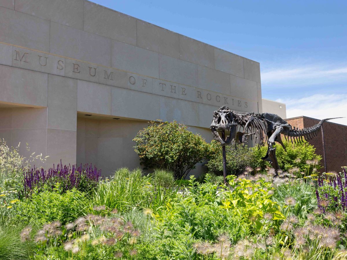 A large dinosaur outside a museum.