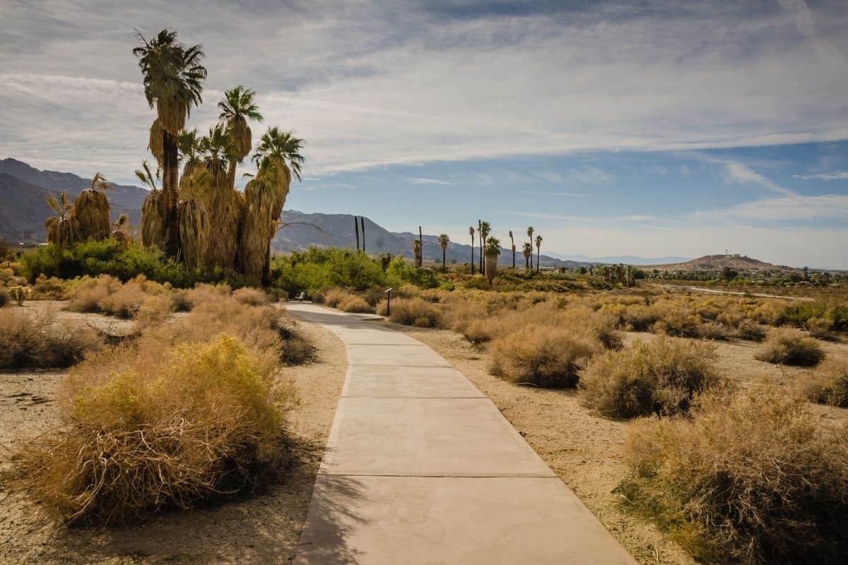 A path winding through the Oasis of Mara
