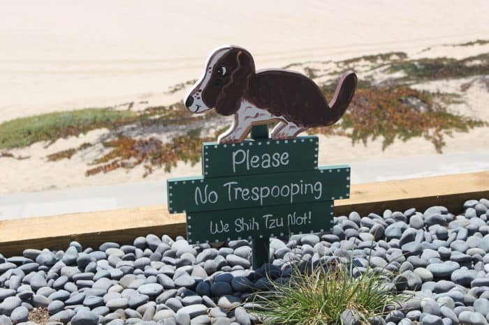 Petiquette 101 - ALWAYS pick up after your dog!