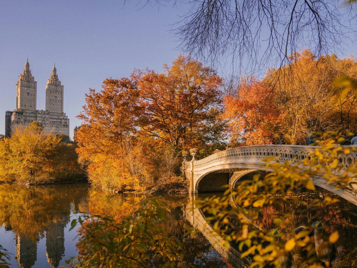 A stone bridge spans a reflective pond surrounded by autumnal trees, with two tall buildings visible in the background against a clear sky.