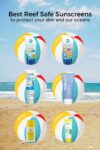 Image of six reef-safe sunscreens with a beach background and text: "Best Reef Safe Sunscreens to protect your skin and our oceans.