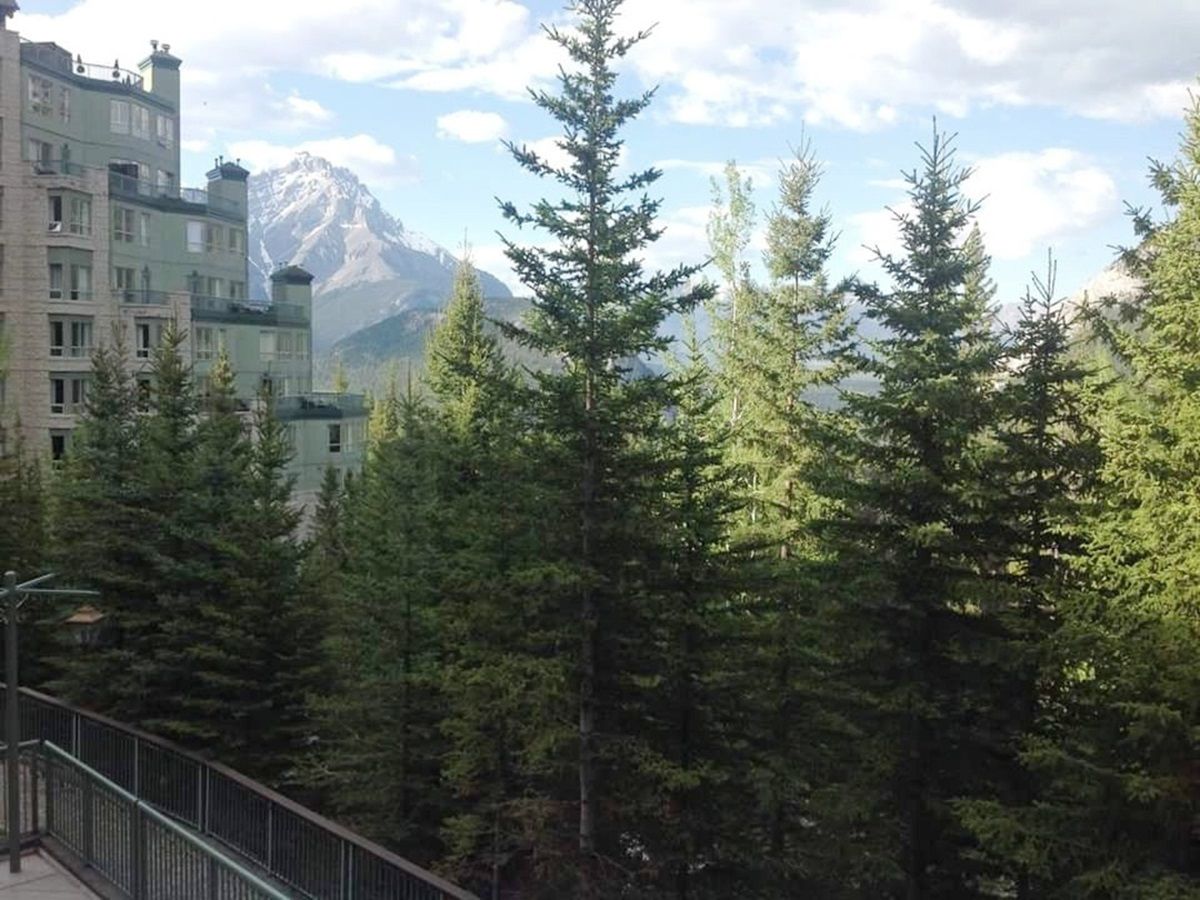 A view of a mountain landscape with tall evergreen trees in the foreground. A building is partially visible on the left side of the frame. The sky is partly cloudy.