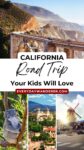 Collage of a bridge, a koala in a tree, a historic building, and a windmill with text: "California Road Trip Your Kids Will Love - EverydayWanderer.com.