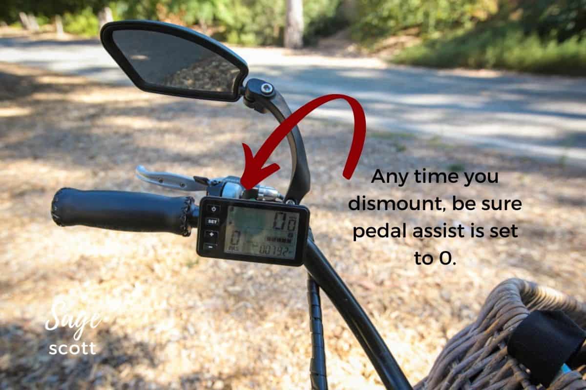 The interactive screen on a Pedego bike.