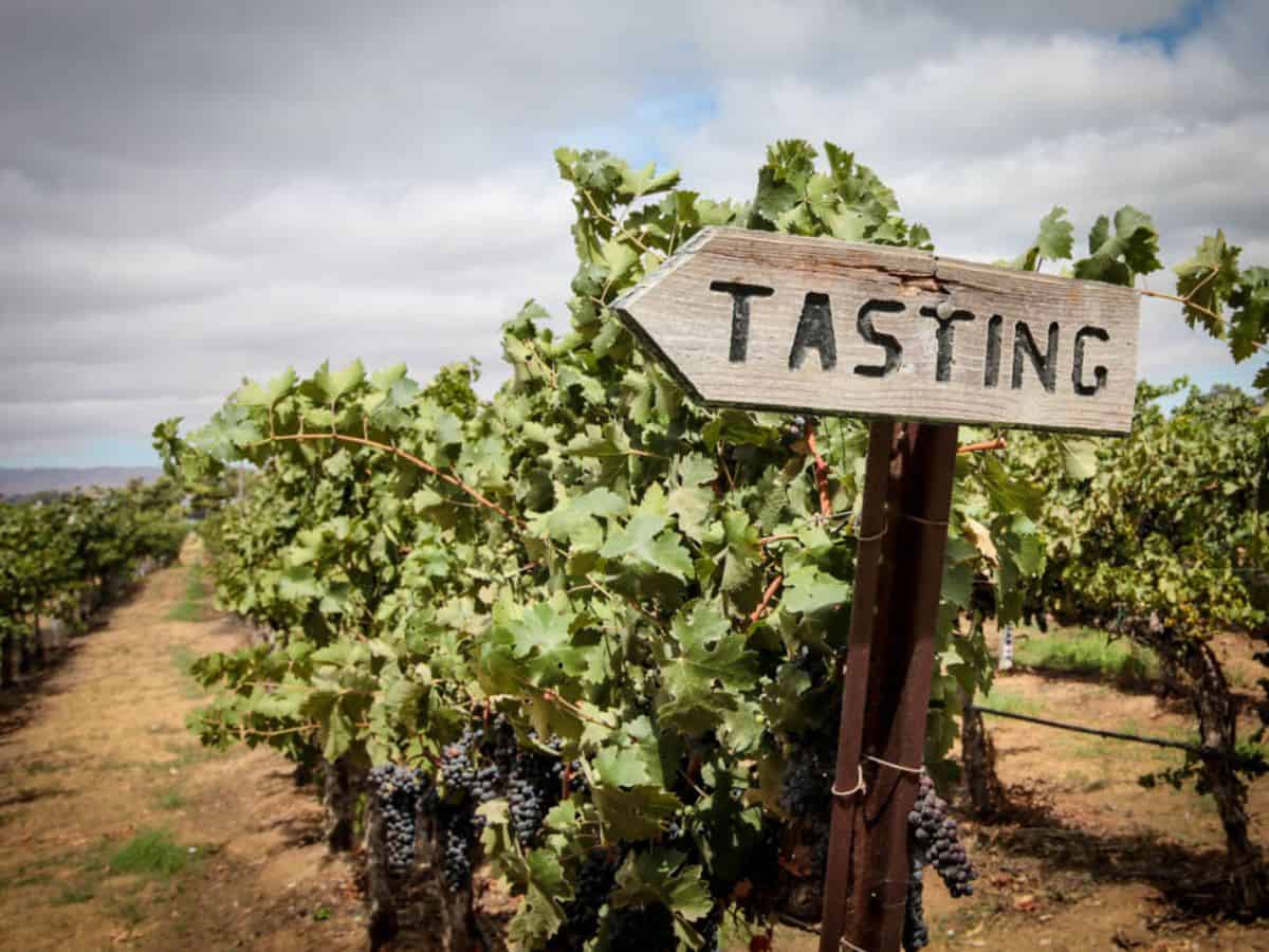 A sign directing visitors to a Livermore wine tasting.