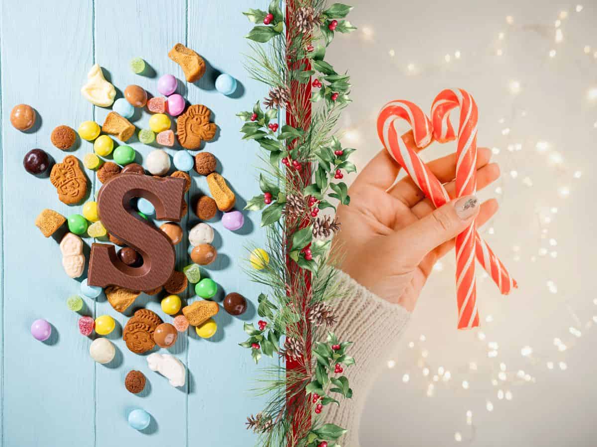 A person holding a candy cane with the letter s on it, depicting the comparison between Sinterklaas and Santa Claus.