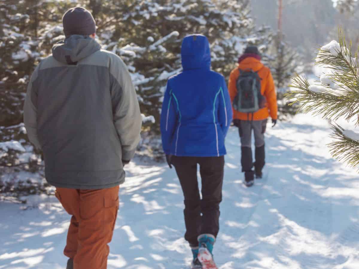 Snowy Hike