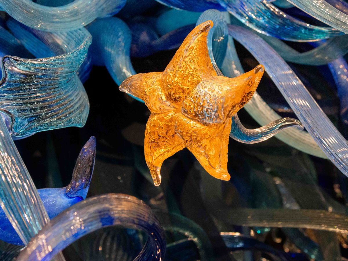 A vibrant orange starfish-shaped glass sculpture is surrounded by swirling blue glass shapes.