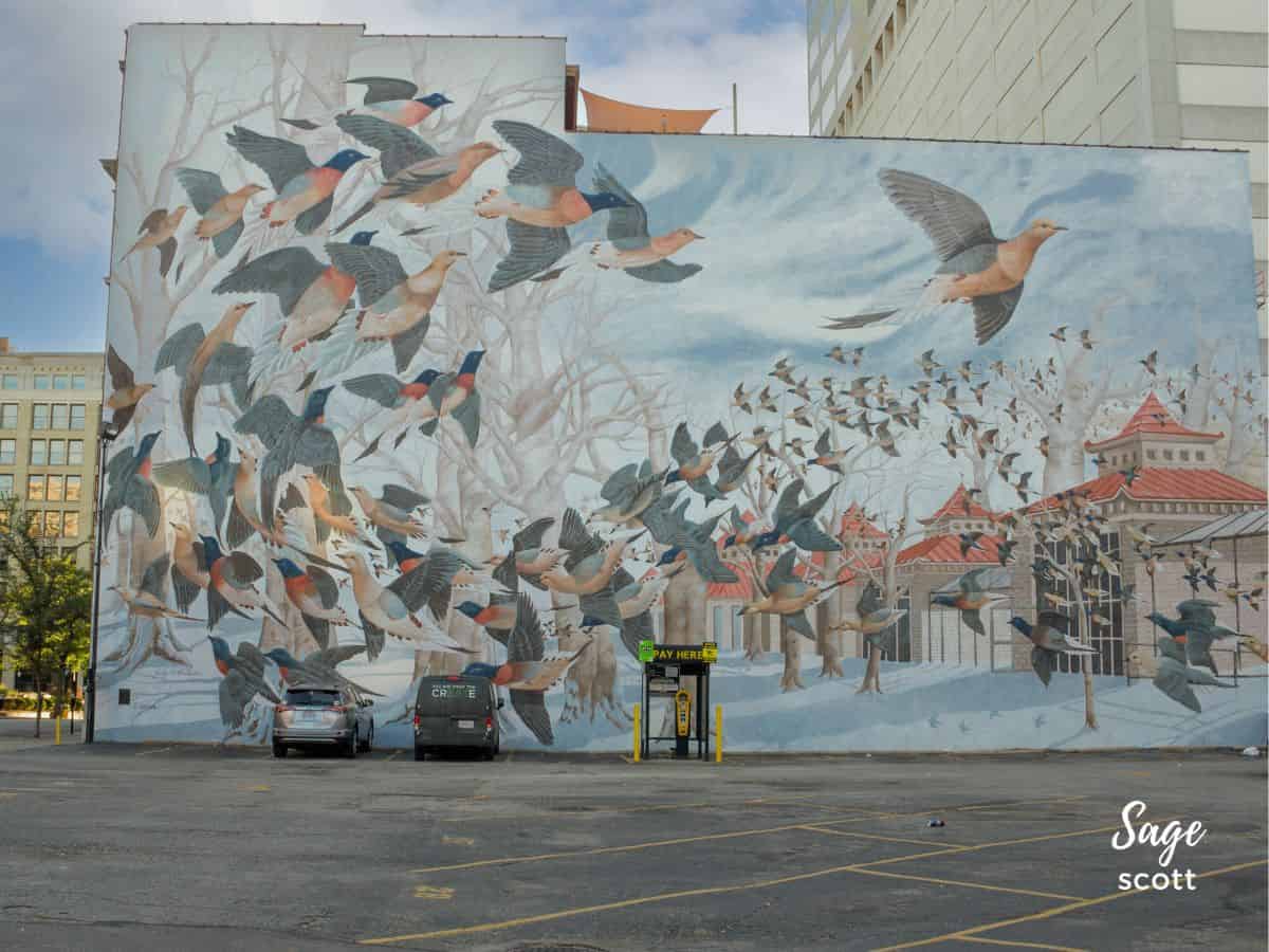 Martha, the Last Passenger Pigeon